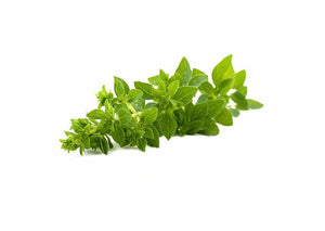 AKARZ Oregano essential oil