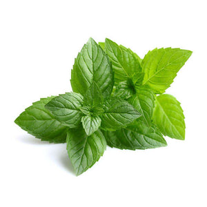 AKARZ Peppermint Essential Oil