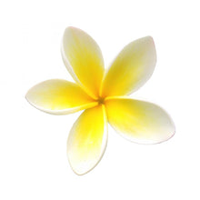 Load image into Gallery viewer, AKARZ Frangipani Essential Oil
