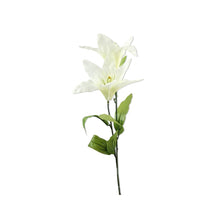 Load image into Gallery viewer, AKARZ Lily essential oil
